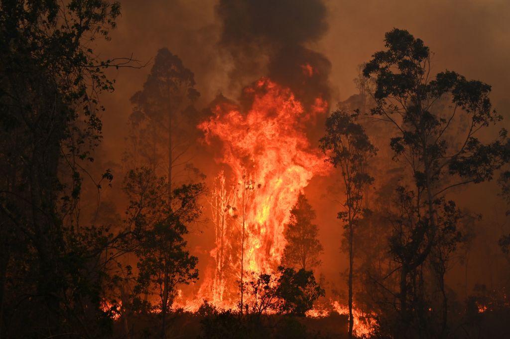 A large bushfire burns brightly out of control at night